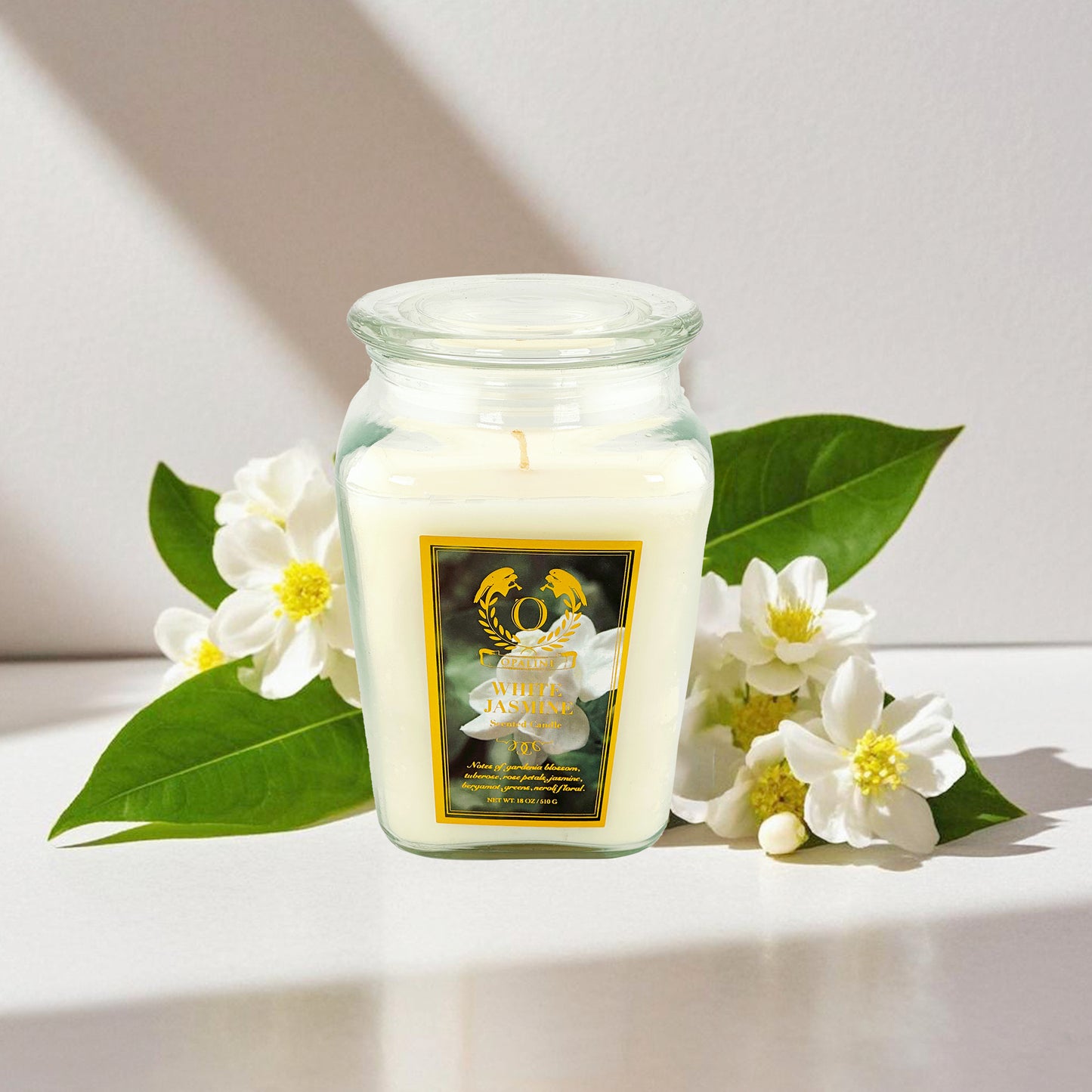 18oz/1pc Aroma Scented Candles for Home, All 6 Scented Candle Gifts for Women, Scented Candle Gift Set for Christmas, Birthdays, Mother's Day, Valentine's Day
