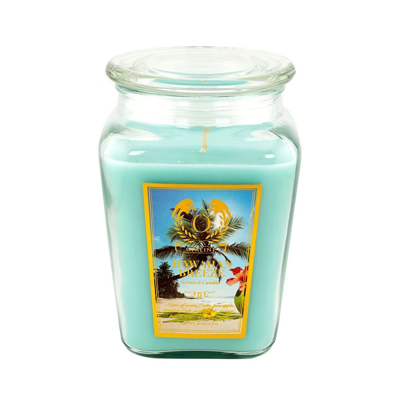 18oz/1pc Aroma Scented Candles for Home, All 6 Scented Candle Gifts for Women, Scented Candle Gift Set for Christmas, Birthdays, Mother's Day, Valentine's Day