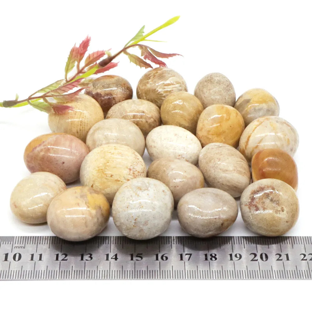 Tumbled Stone Natural Gems Coral Jade Crystal Reiki Healing Energy Specimen Irregular Rock Bulk Mineral Home Aquarium Decoration