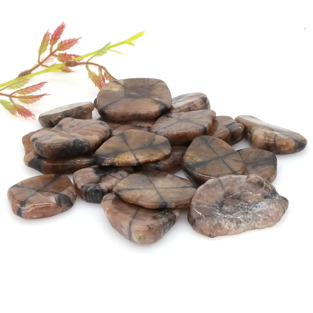 Natural Chiastolite Stone Flakes Rock Mineral Reiki Healing Crystal Gems Specimen Irregular Shape Bulk Home Aquarium Decoration