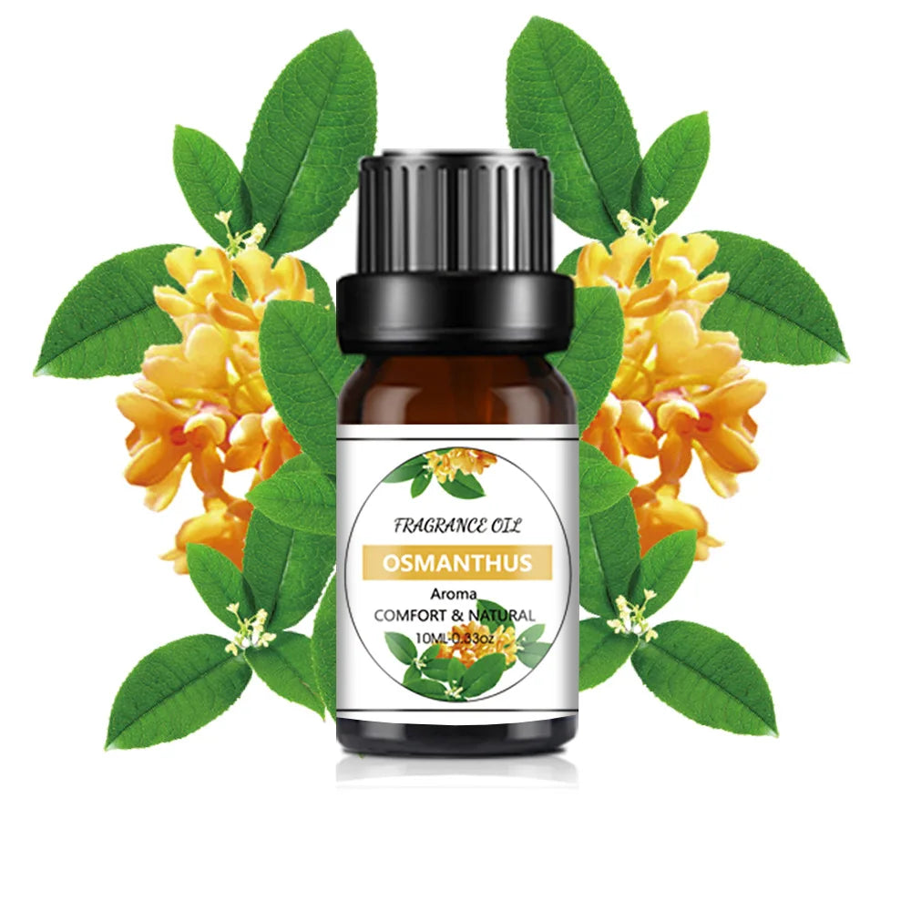 10ML Fragrance Oil Plant Making Diffuser Essential Oils for Plaster Sleep Bath Soap DIY Scented Candle Perfume Humidifier