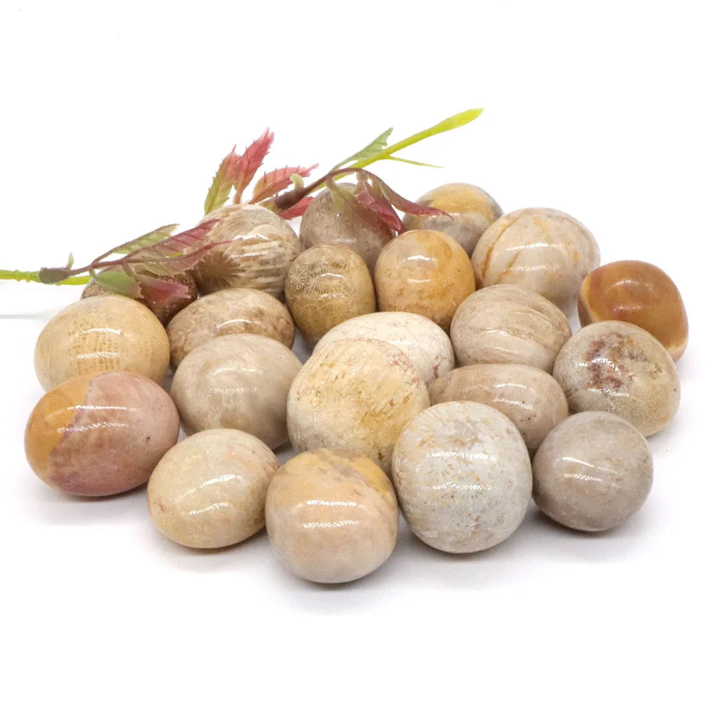 Tumbled Stone Natural Gems Coral Jade Crystal Reiki Healing Energy Specimen Irregular Rock Bulk Mineral Home Aquarium Decoration