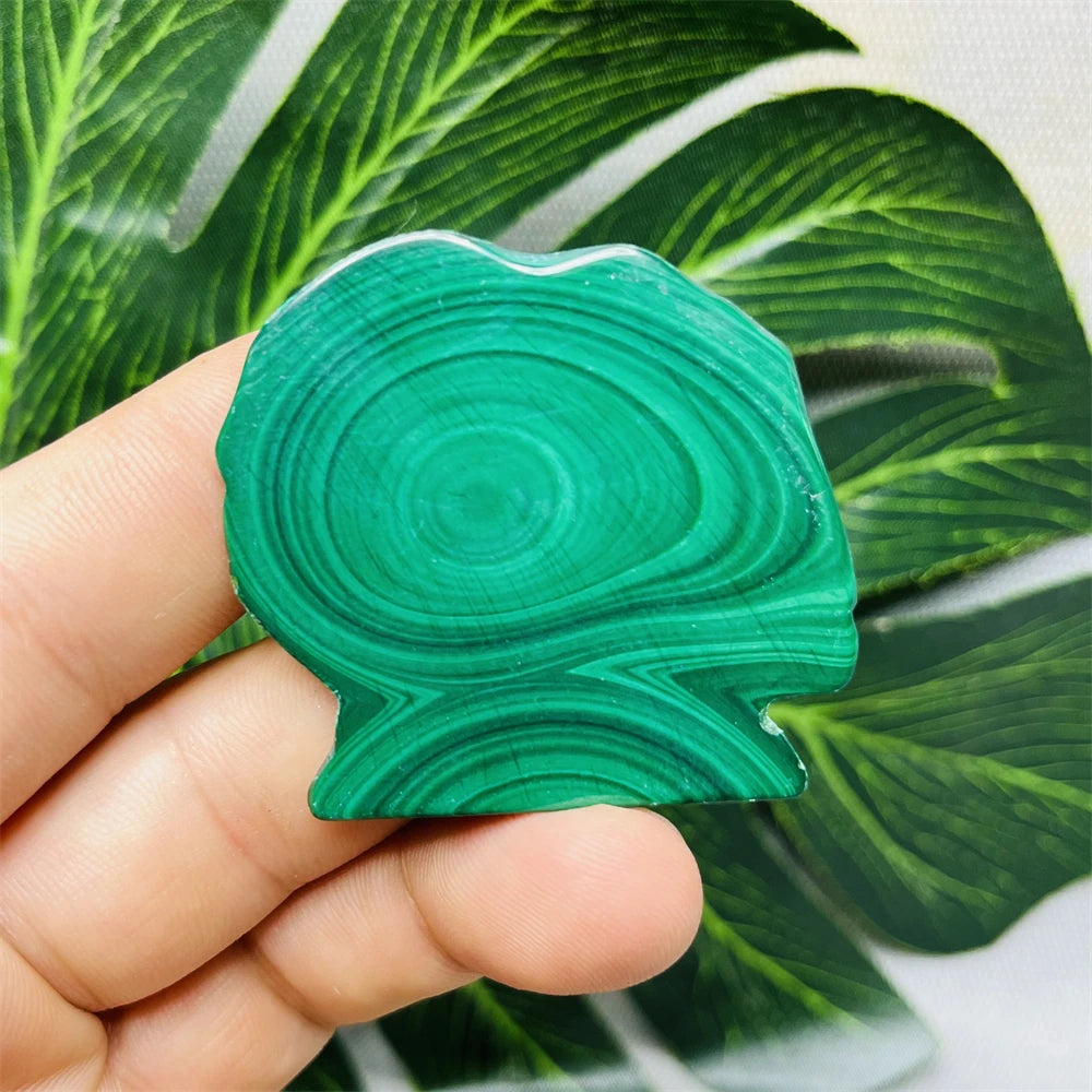 Eyes Malachite Mineral Specimen Natural Gem Home Garden Spirit Decoration Gift Witchcraft Altar Prayer Crystal and Stone Healing