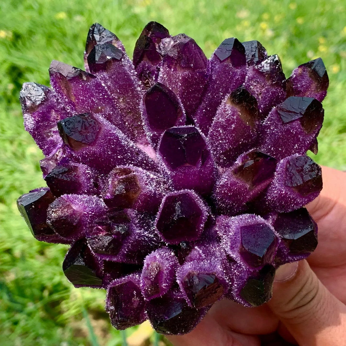 Natural violet Ghost Phantom Quartz Crystal Cluster Healing Specimen