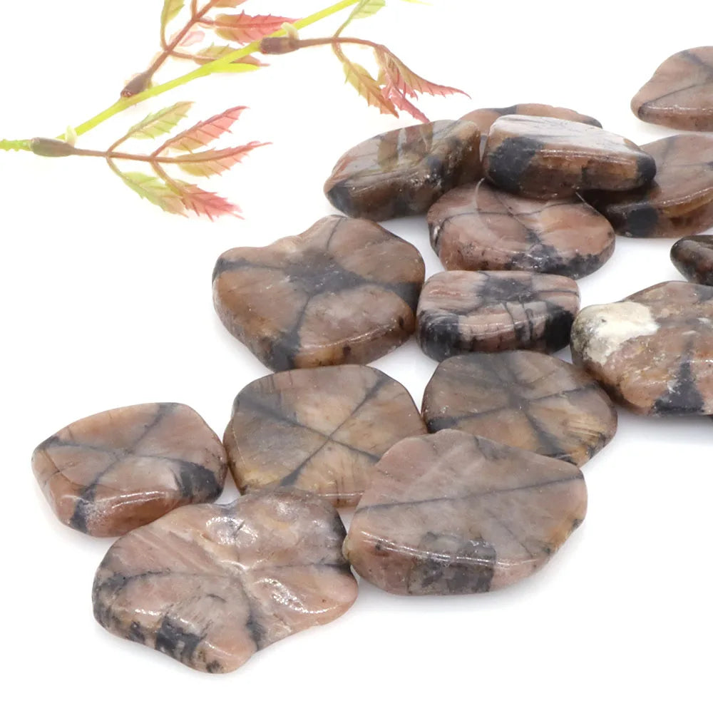 Natural Chiastolite Stone Flakes Rock Mineral Reiki Healing Crystal Gems Specimen Irregular Shape Bulk Home Aquarium Decoration