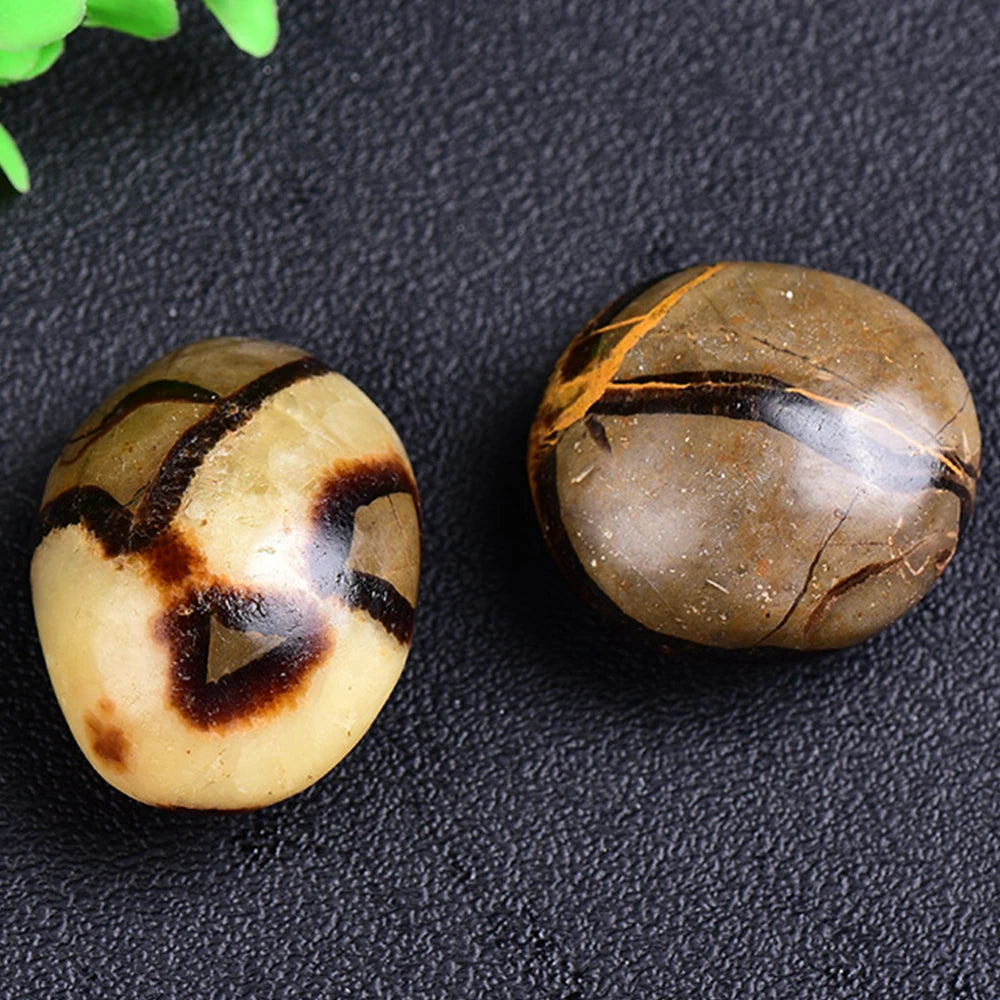 1Pc Natural Septarium Tumble Stone Polished Dragon Septarian Reiki Quartz Crystal Mineral Specimen Collection Home Decoration