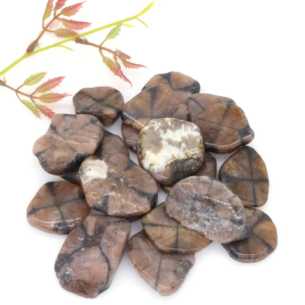 Natural Chiastolite Stone Flakes Rock Mineral Reiki Healing Crystal Gems Specimen Irregular Shape Bulk Home Aquarium Decoration