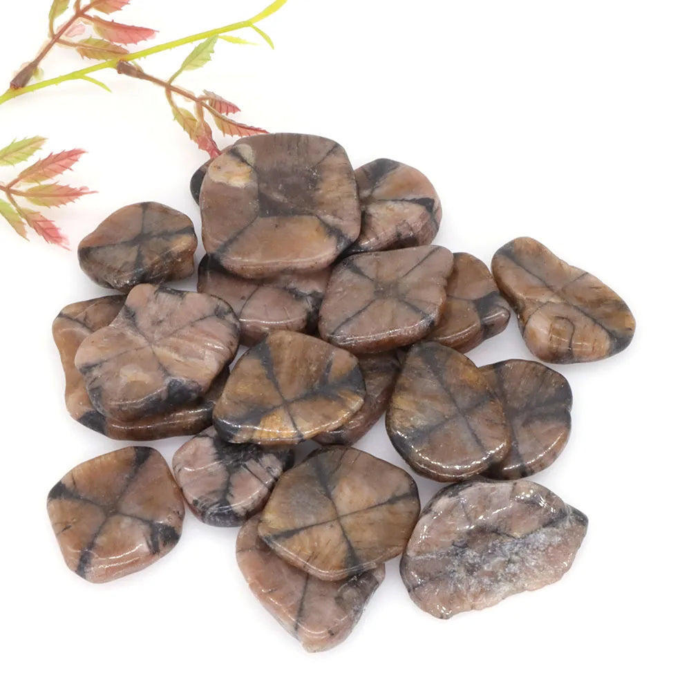 Natural Chiastolite Stone Flakes Rock Mineral Reiki Healing Crystal Gems Specimen Irregular Shape Bulk Home Aquarium Decoration