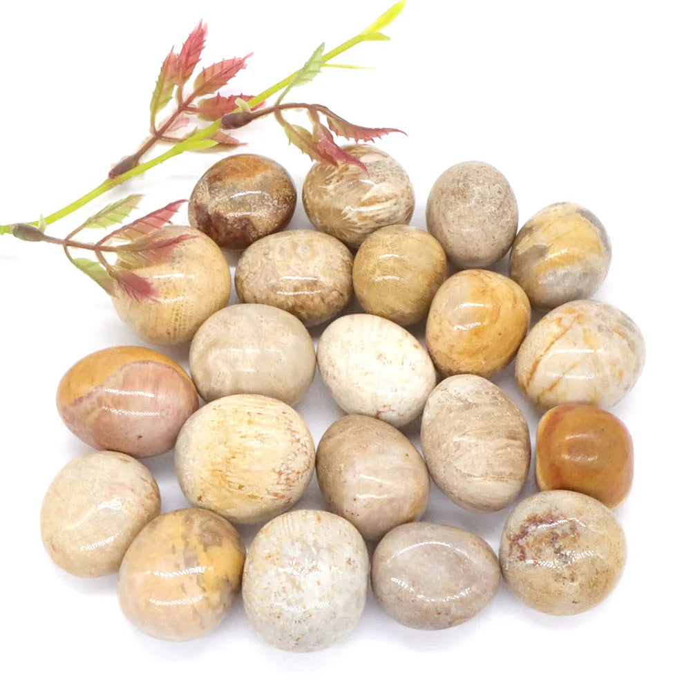 Tumbled Stone Natural Gems Coral Jade Crystal Reiki Healing Energy Specimen Irregular Rock Bulk Mineral Home Aquarium Decoration