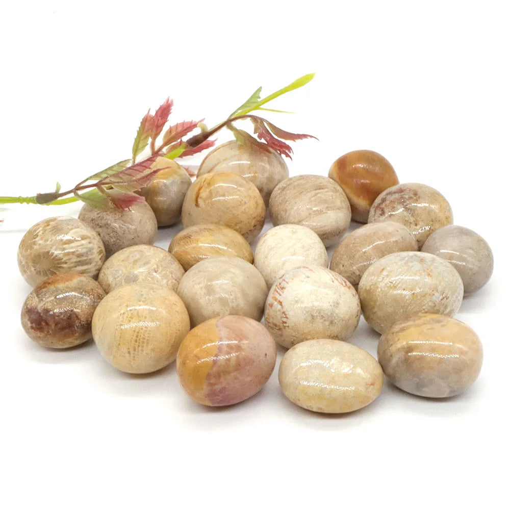 Tumbled Stone Natural Gems Coral Jade Crystal Reiki Healing Energy Specimen Irregular Rock Bulk Mineral Home Aquarium Decoration