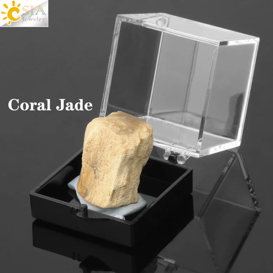 Natural Minerals specimen Raw Stone Specimens Irregular Precious Gems Rock Crystal Collection Teaching Geology Education G567