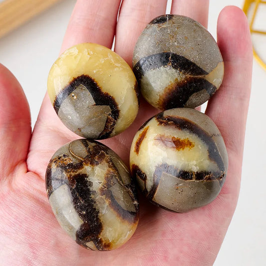 1Pc Natural Septarium Tumble Stone Polished Dragon Septarian Reiki Quartz Crystal Mineral Specimen Collection Home Decoration
