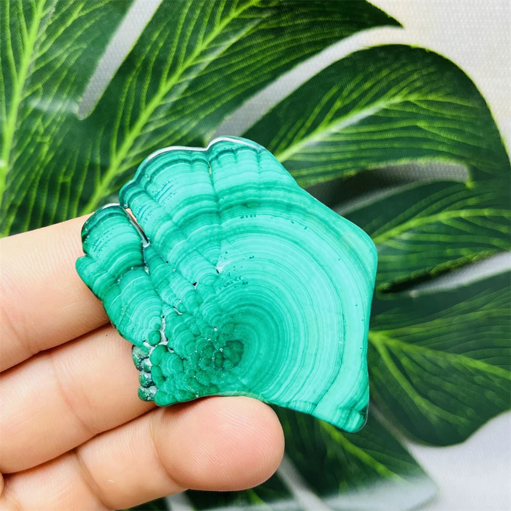 Eyes Malachite Mineral Specimen Natural Gem Home Garden Spirit Decoration Gift Witchcraft Altar Prayer Crystal and Stone Healing