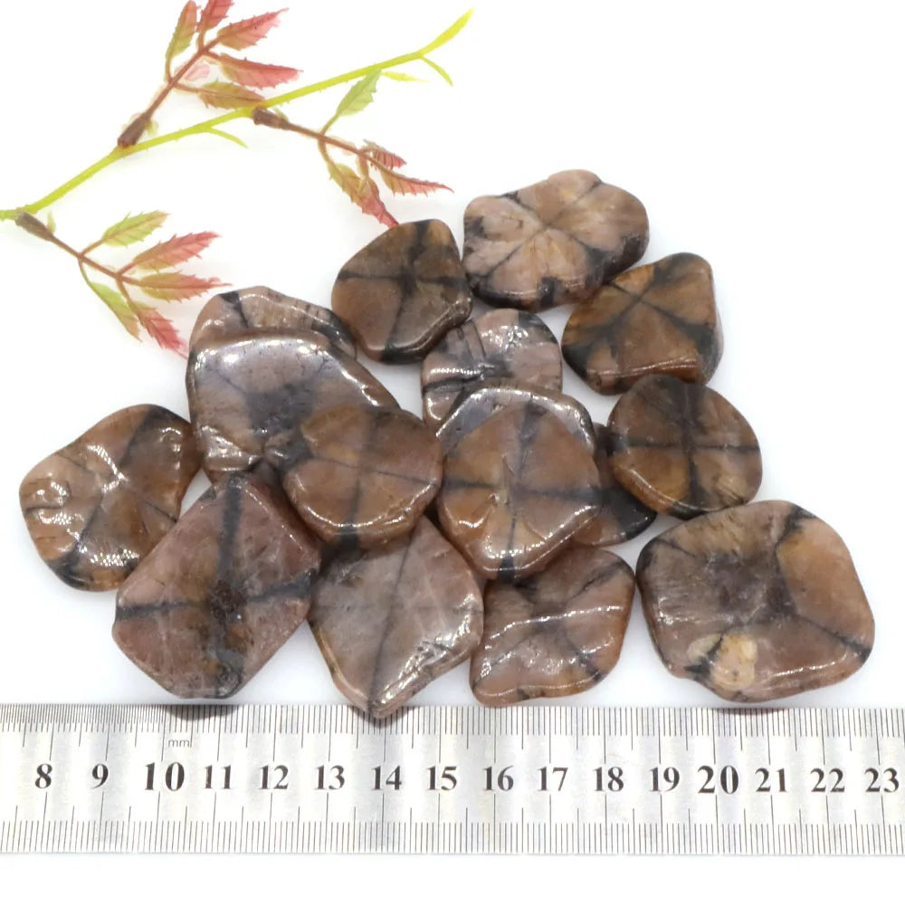 Natural Chiastolite Stone Flakes Rock Mineral Reiki Healing Crystal Gems Specimen Irregular Shape Bulk Home Aquarium Decoration