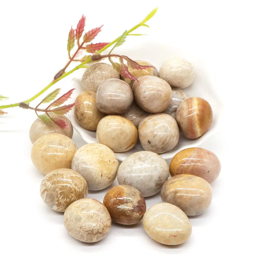 Tumbled Stone Natural Gems Coral Jade Crystal Reiki Healing Energy Specimen Irregular Rock Bulk Mineral Home Aquarium Decoration
