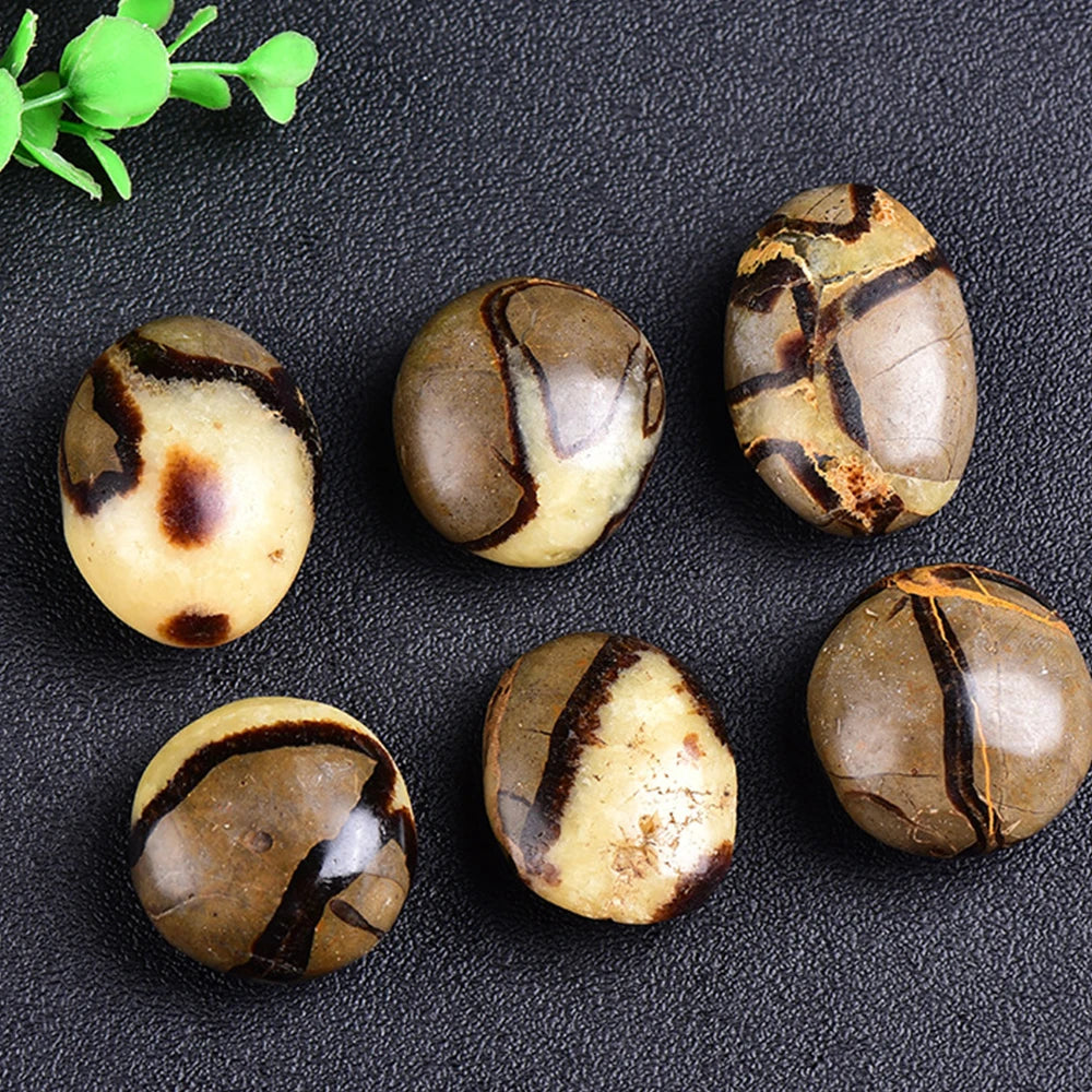 1Pc Natural Septarium Tumble Stone Polished Dragon Septarian Reiki Quartz Crystal Mineral Specimen Collection Home Decoration