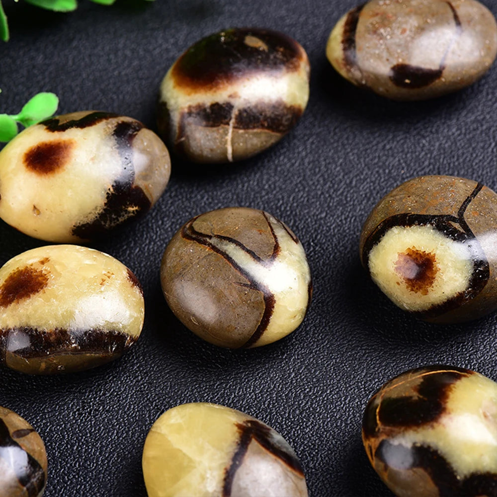 1Pc Natural Septarium Tumble Stone Polished Dragon Septarian Reiki Quartz Crystal Mineral Specimen Collection Home Decoration