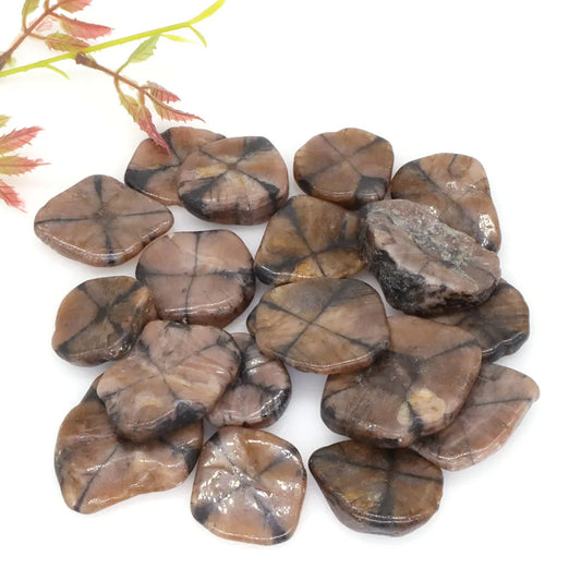 Natural Chiastolite Stone Flakes Rock Mineral Reiki Healing Crystal Gems Specimen Irregular Shape Bulk Home Aquarium Decoration