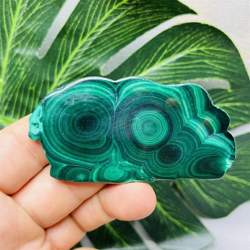 Eyes Malachite Mineral Specimen Natural Gem Home Garden Spirit Decoration Gift Witchcraft Altar Prayer Crystal and Stone Healing
