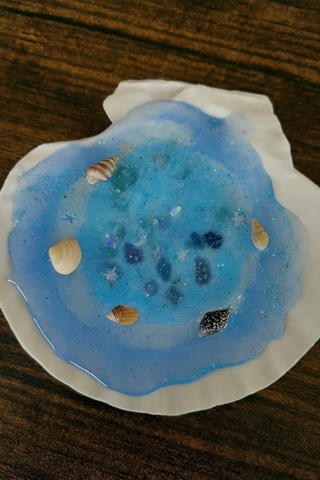 Sea Shell Treasures