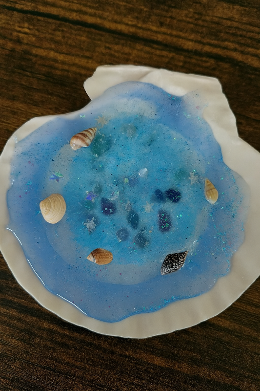 Sea Shell Treasures